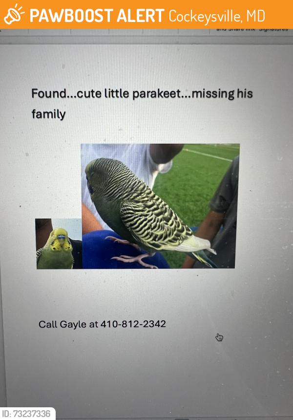 Found/Stray Unknown Bird last seen Greenside Drive, Cockeysville, MD 21030
