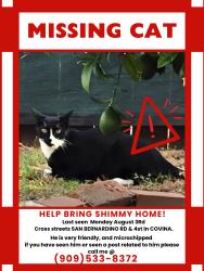 Reunited Male Cat last seen Near W San Bernardino Rd, Covina, CA 91723, USA, Covina, CA 91723