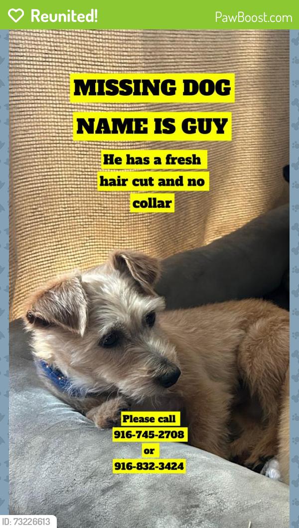 Reunited Male Dog last seen Near Federal St, North Highlands, CA 95660, USA, North Highlands, CA 95660