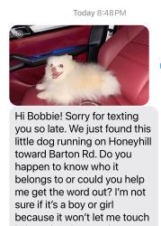 Reunited Unknown Dog last seen Honey Hill Dr. it was heading for Barton Rd., Grand Terrace, CA 92313