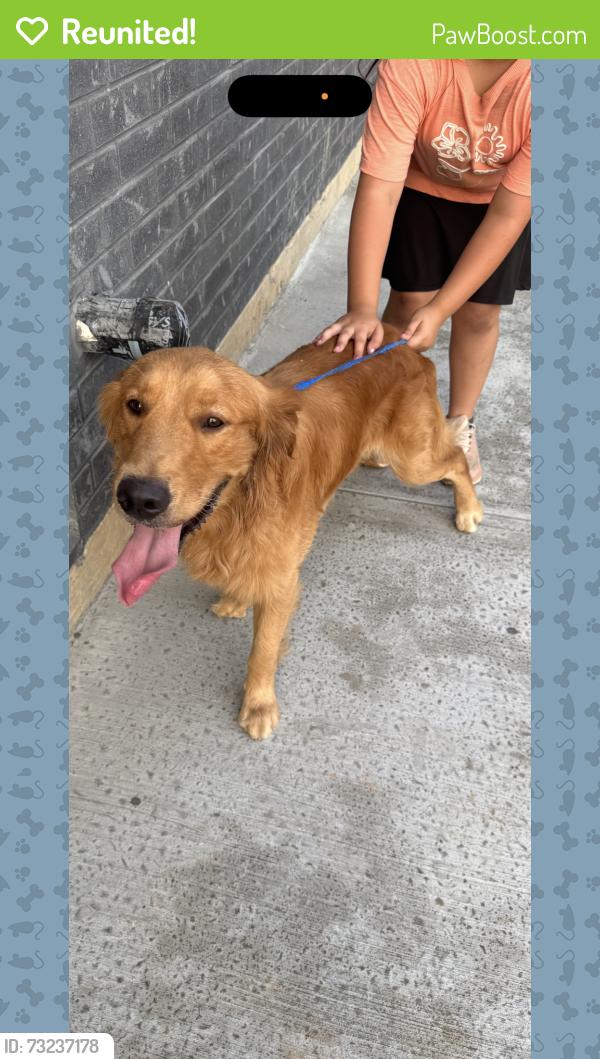 Reunited Male Dog last seen Dolphin and Haskell, Dallas, TX 75223