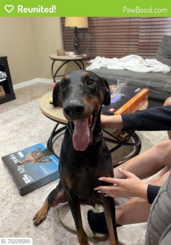 Reunited Male Dog last seen Unk, Coral Springs, FL 33065