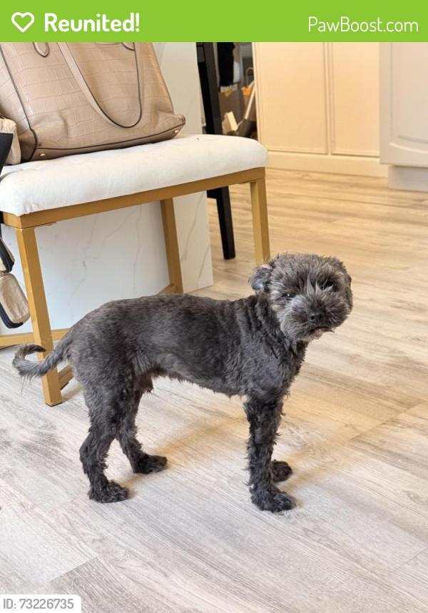 Reunited Male Dog last seen Cranberry Creek ests, Cresco, PA 18326