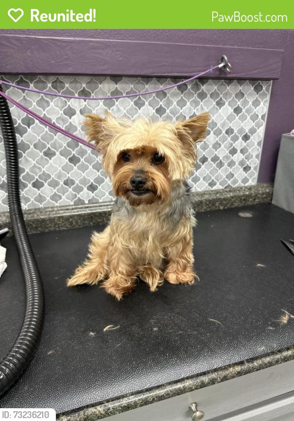 Reunited Male Dog last seen Hayes Lane, Pasco, WA 99301