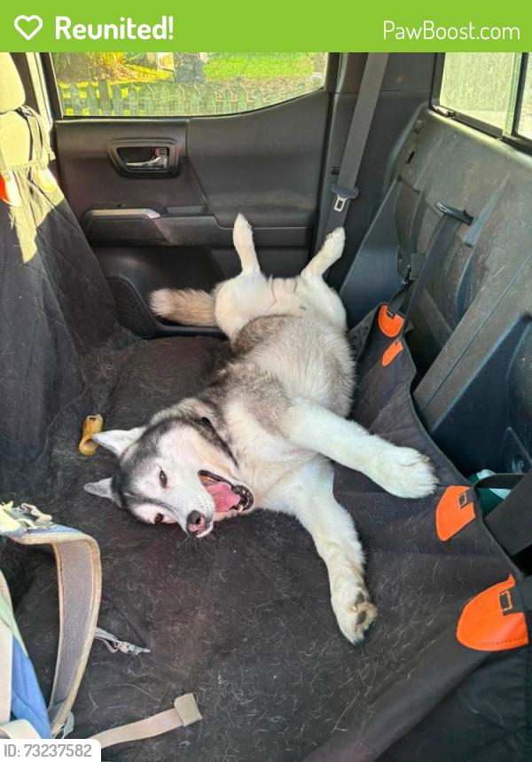 Reunited Male Dog last seen Bethel Park, Eugene, OR, Eugene, OR 97402