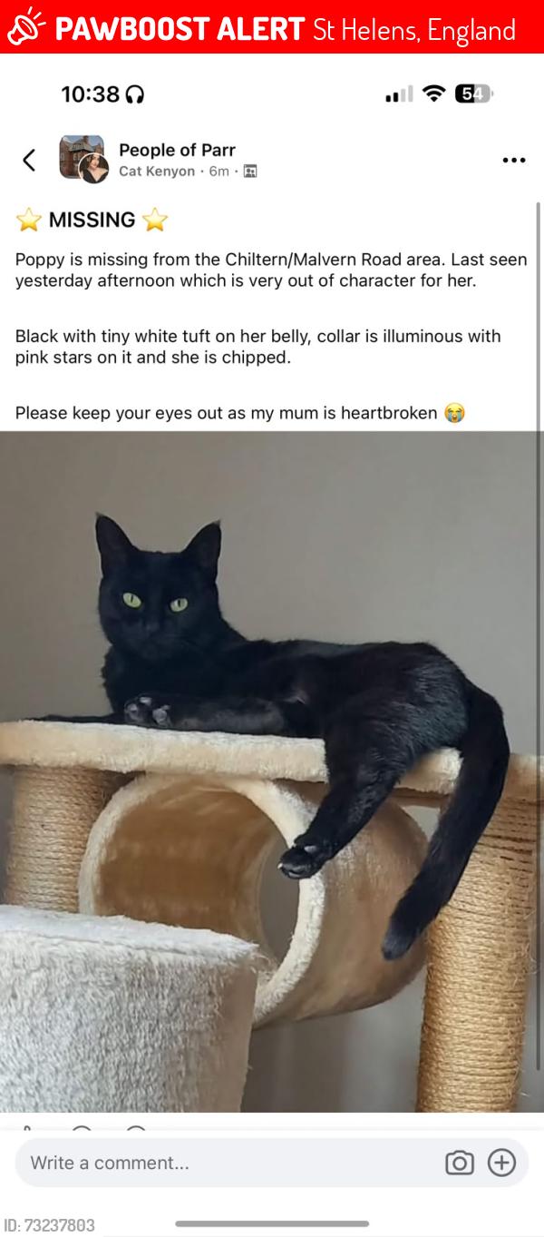 Lost Female Cat last seen Chiltern road, St Helens, England 