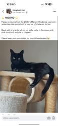 Lost Female Cat last seen Chiltern road, St Helens, England 