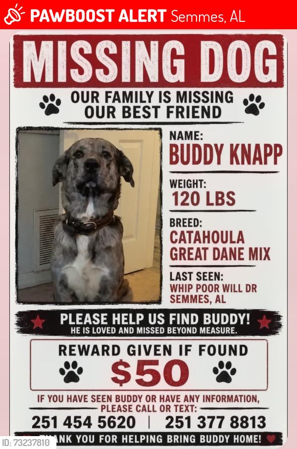 Lost Male Dog last seen SNOW RD, Semmes, AL 36575