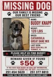 Lost Male Dog last seen SNOW RD, Semmes, AL 36575