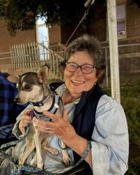 Lost Male Dog last seen Grand Ave and 49th Ave, Duluth, MN 55807