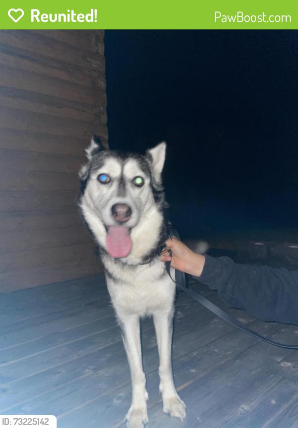 Reunited Female Dog last seen Lakeview road, Cambridge Narrows, Arcadia, NB 