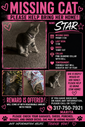 Lost Female Cat last seen E Franklin Rd, Indianapolis, IN 46219