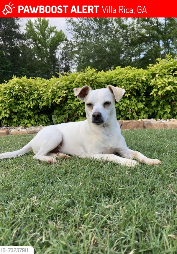 Lost Male Dog last seen Daniel rd, Villa Rica, GA 30180