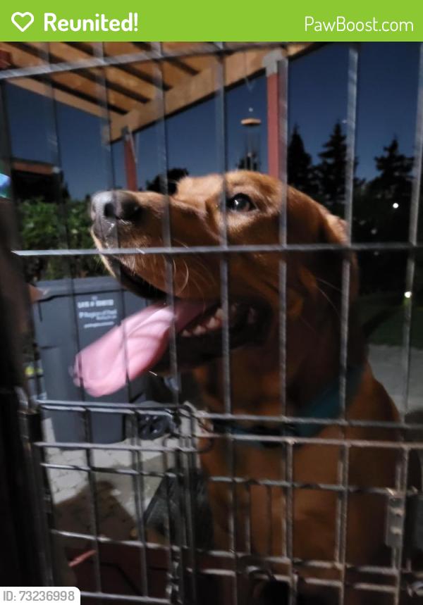 Reunited Unknown Dog last seen Grand Park/ Fairview, Mississauga, ON 