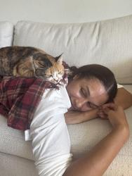 Lost Female Cat last seen Near Tannas Mount Trail, Cypress, TX 77433