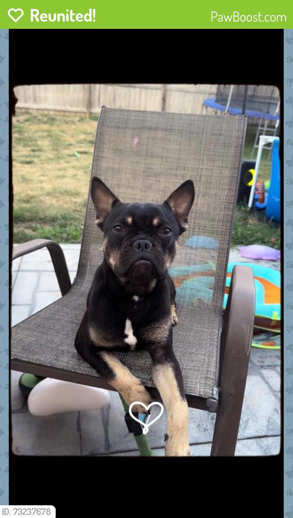 Reunited Male Dog last seen 44th St, Bellevue, NE 68123