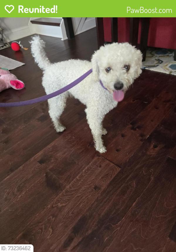 Reunited Male Dog last seen Northwood Cemetery, Philadelphia, PA 19126
