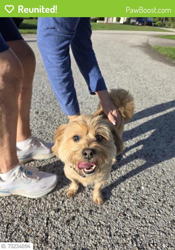 Reunited Male Dog last seen Elon and Joyner, Spring Hill, FL 34608
