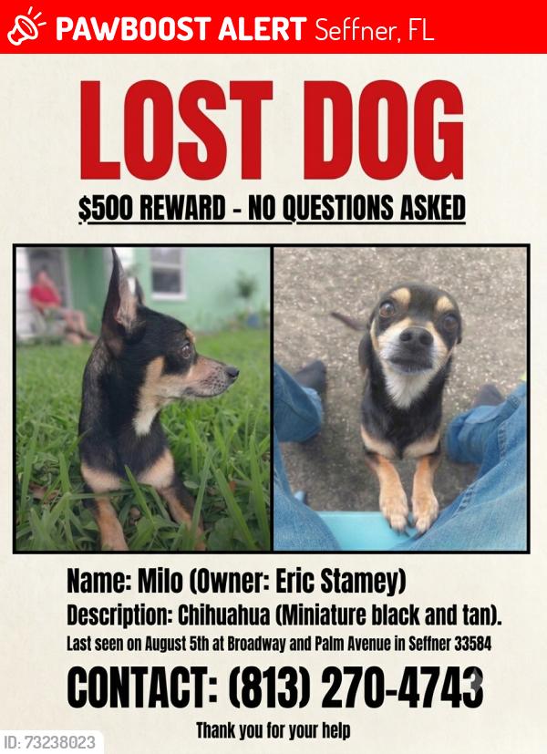 Lost Male Dog last seen Broadway and Palm Avenue, Seffner, FL 33584