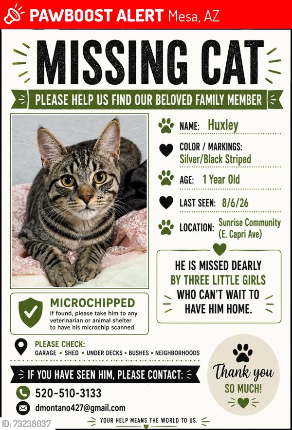 Lost Male Cat last seen Crismon and Broadway, Mesa, AZ 85208