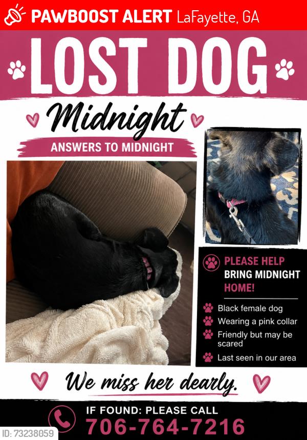 Lost Male Dog last seen Windy Trl and probasco street, LaFayette, GA 30728