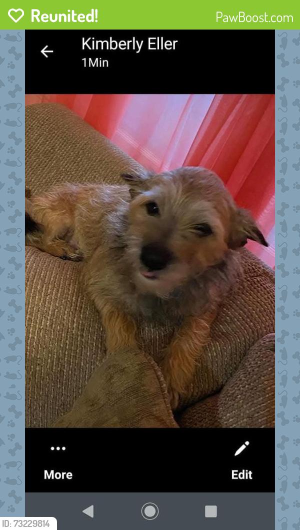 Reunited Male Dog last seen Barnett Dr, Kingsport, TN 37664