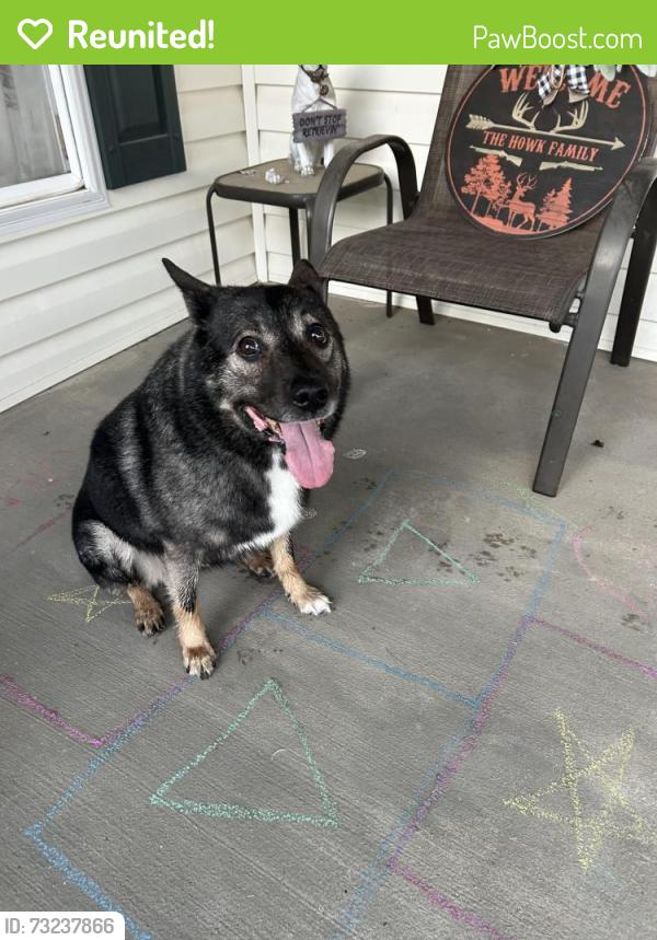 Reunited Male Dog last seen Near Polaris Drive, walkersville, md 21793, Walkersville, MD 21793