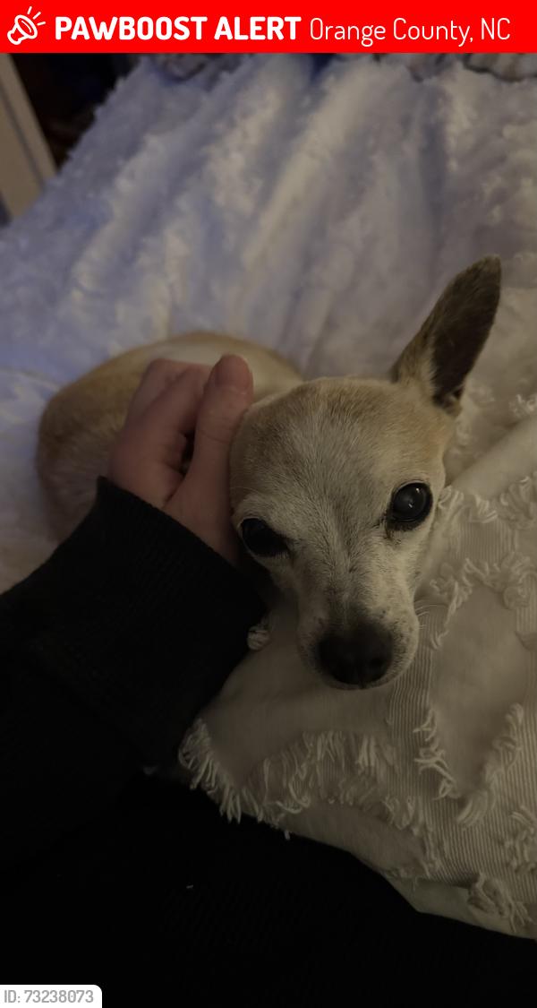 Lost Female Dog last seen Orange Grove, Orange County, NC 27258