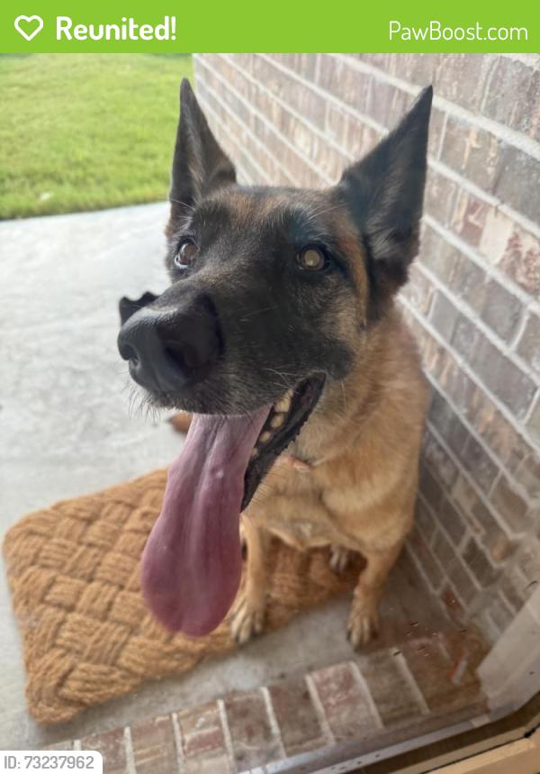 Reunited Female Dog last seen Near the park in Elyson, Harris County, TX 77493