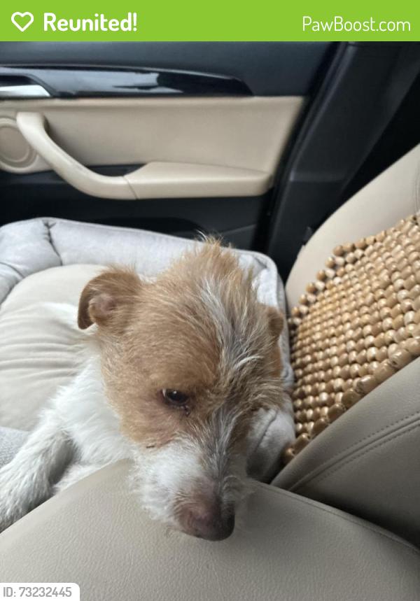Reunited Male Dog last seen 14th and Market, West Oakland, Oakland, CA 94607