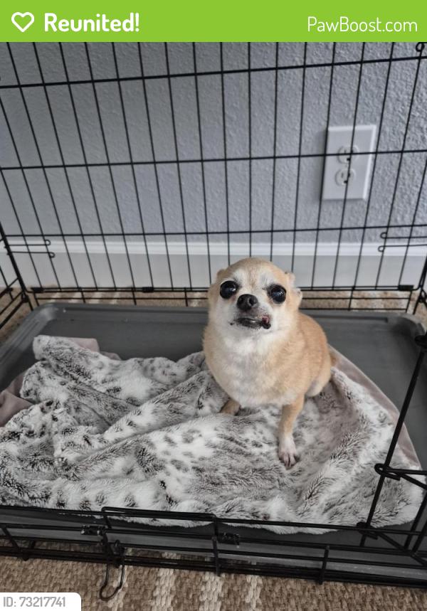 Reunited Female Dog last seen Wayside Dr, Houston, TX 77011