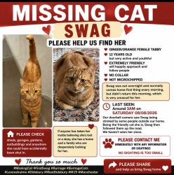 Lost Female Cat last seen On our ring doorbell on Barcicroft road, Greater Manchester, England 
