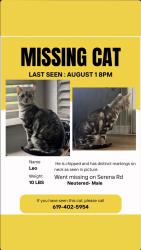 Lost Male Cat last seen Serena Road and valle vista, Lakeside, CA 92040