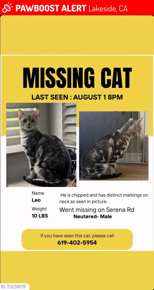 Lost Male Cat last seen Serena Road and valle vista, Lakeside, CA 92040
