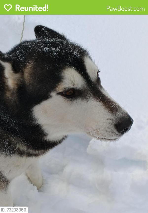 Reunited Male Dog last seen Behind country kettle, East Stroudsburg, PA 18301