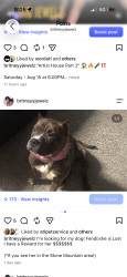 Lost Female Dog last seen N Hairston, Stone Mountain, GA 30088