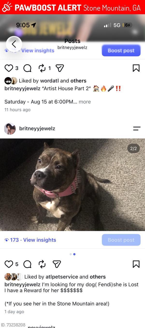 Lost Female Dog last seen N Hairston, Stone Mountain, GA 30088