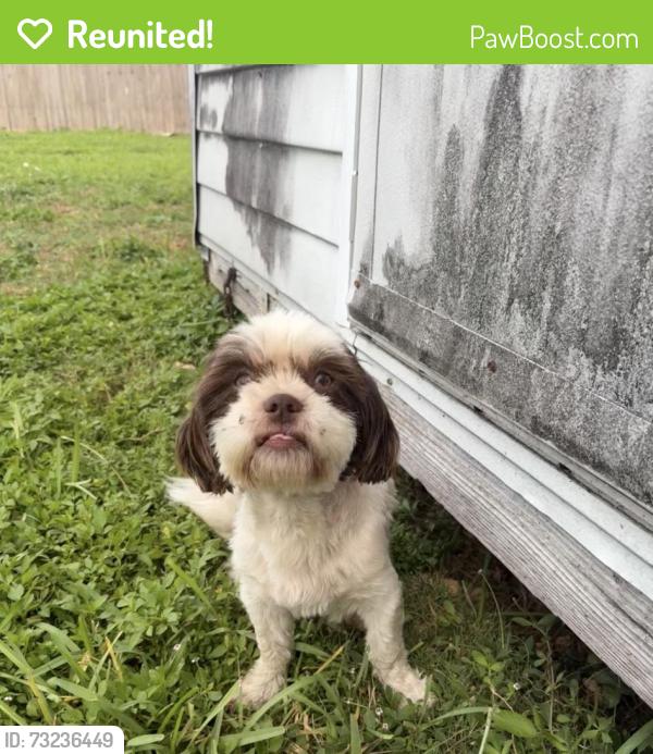 Reunited Female Dog last seen NW 14TH ST & NW 4 TH AVE hmstd, FL 33030, Homestead, FL 33030