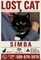 Lost Male Cat last seen Pine Rock Place & Rifle Club Road, Spokane, WA 99208