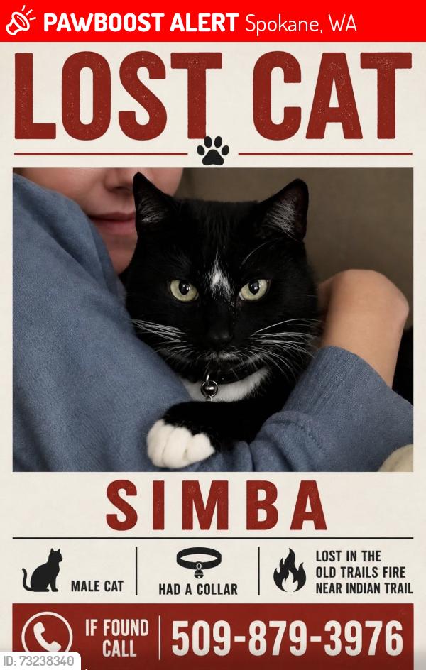 Lost Male Cat last seen Pine Rock Place & Rifle Club Road, Spokane, WA 99208