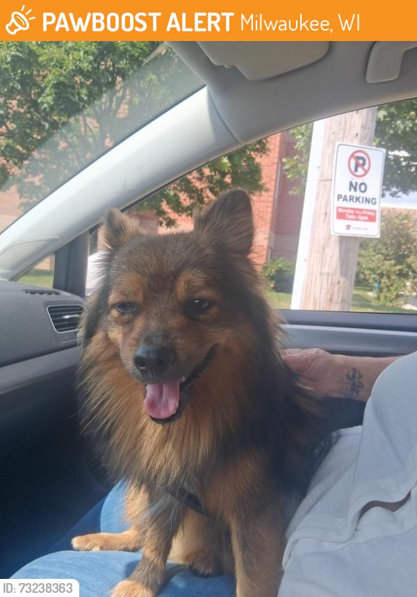 Found/Stray Unknown Dog last seen 20th oklahoma, Milwaukee, WI 53215