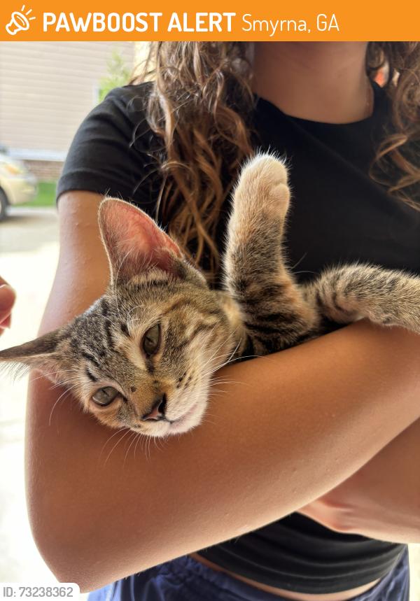 Found/Stray Female Cat last seen lawton bridge rd SW, Smyrna, GA 30082