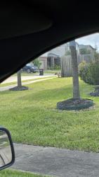 Found/Stray Male Dog last seen Roaming the KB neighborhood, Harris County, TX 77493