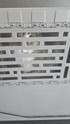 Reunited Female Cat last seen Near 89th ave n st pete, St. Petersburg, FL 33702