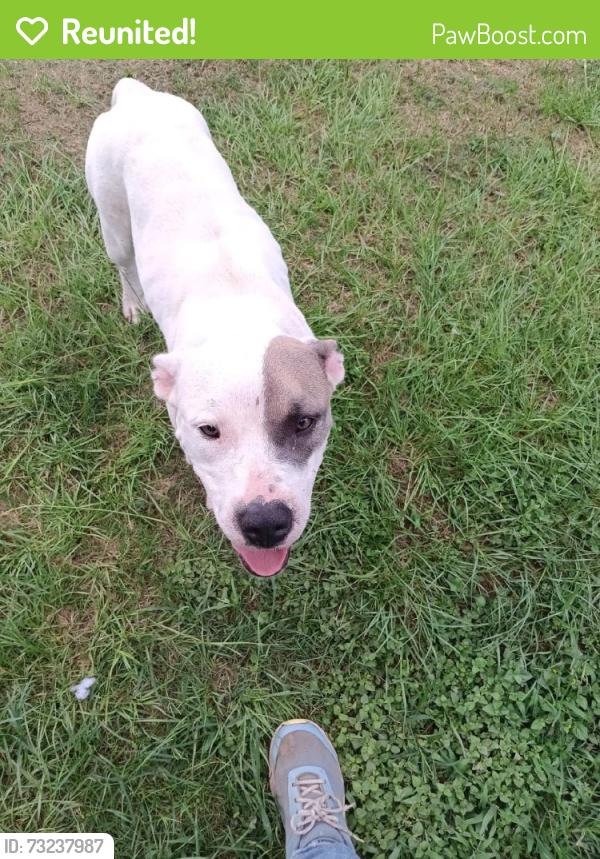 Reunited Female Dog last seen Tomball, TX 77377, USA, Tomball, TX 77375