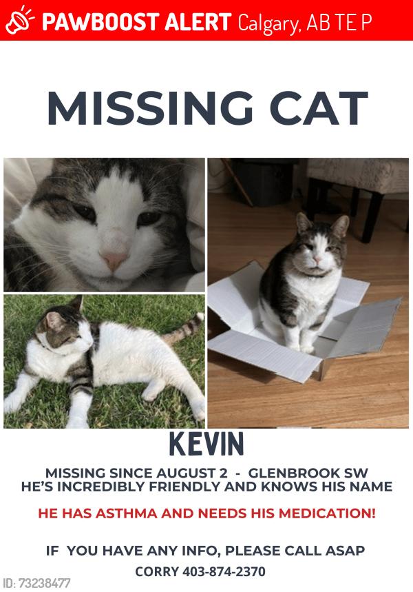 Lost Male Cat last seen Glenbrook, Calgary, AB T3E 3P6