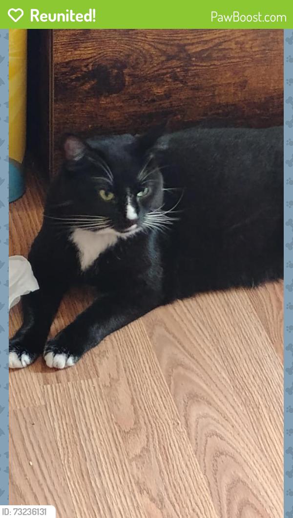 Reunited Female Cat last seen Don Tyson / S Thompson, Springdale, AR 72764