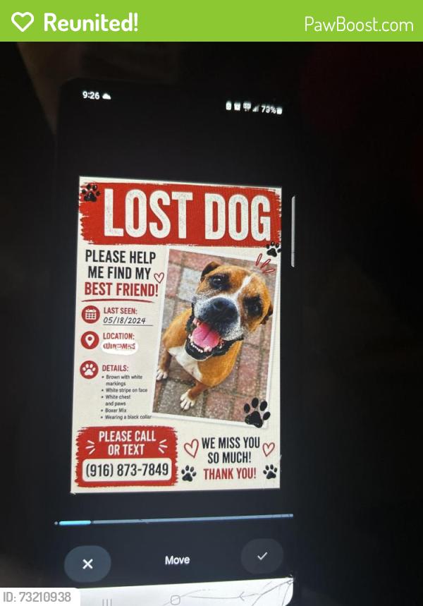 Reunited Male Dog last seen Auberry, Sacramento, CA 95828