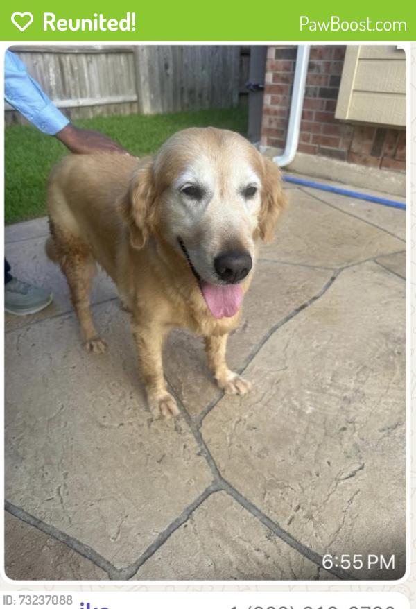 Reunited Female Dog last seen Chatham, Sugar Land, TX 77479