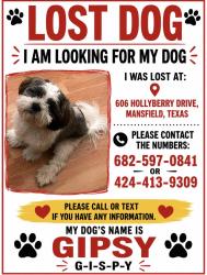 Lost Male Dog last seen Hollyberry, Mansfield, TX 76063